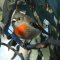 HelloBirdy's picture HelloBirdy's picture